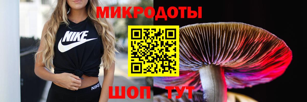 Галлюциногенные грибы мухоморы  Псилоцибиновые грибы ЛСД  Вход с VPN  Качканар 