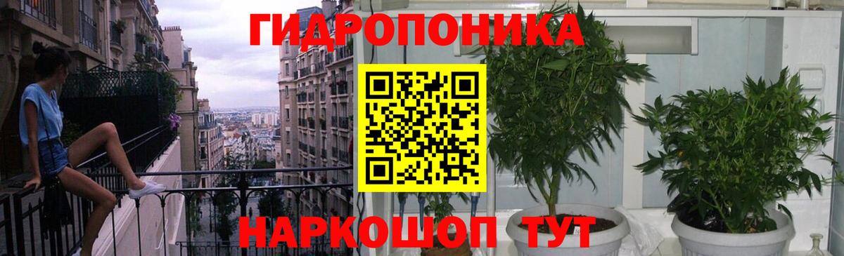 Шишки марихуана план Качканар